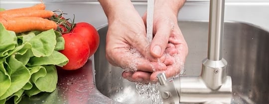 Food Sanitation
