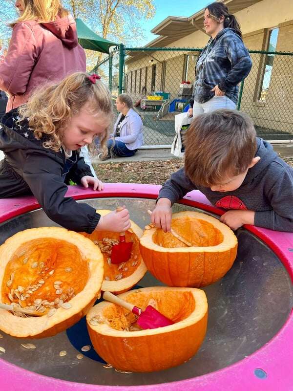 Pumpkin Exploration