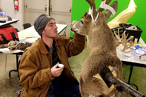 TaxidermyDeerTroyerW