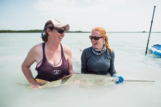 drandreakroetz sawfishshark laughingW