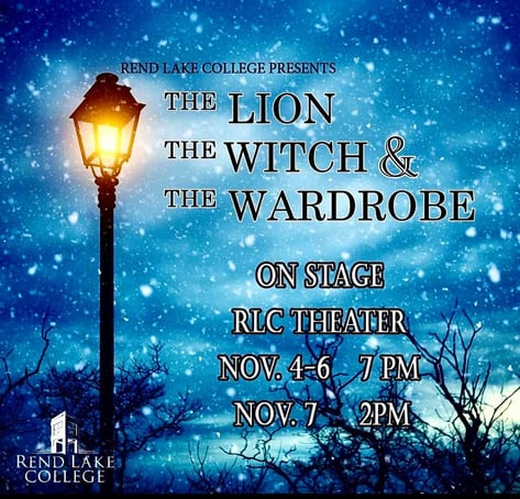 lion witch wardrobe cover