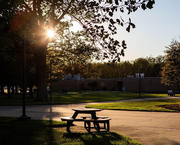 night-shot-alternating-content-module