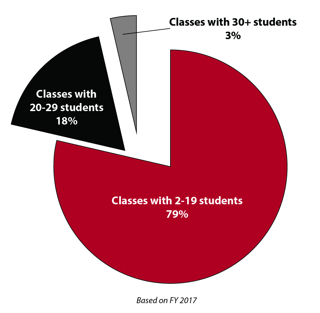 Class Sizes FY17 pie chart